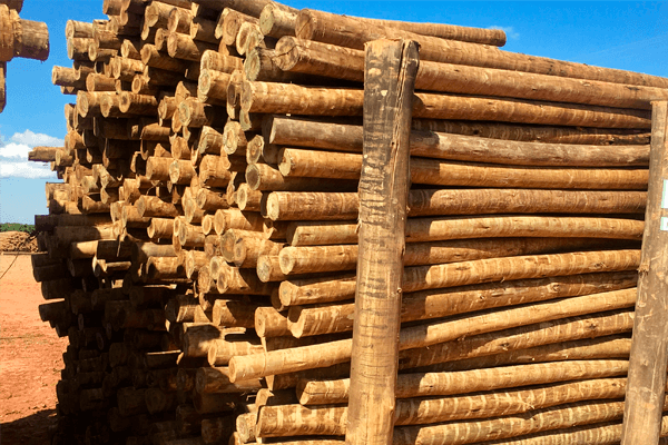 Madeiras Roliças - Tratado